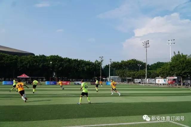 布莱顿强势开局，球迷期待球队荣誉